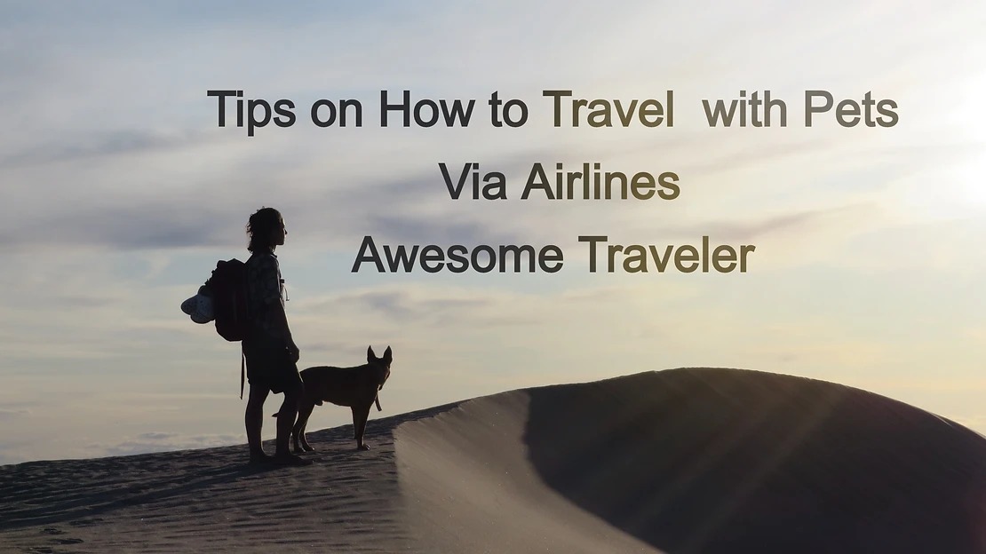 Tips On How To Travel With Pets Via Airlines