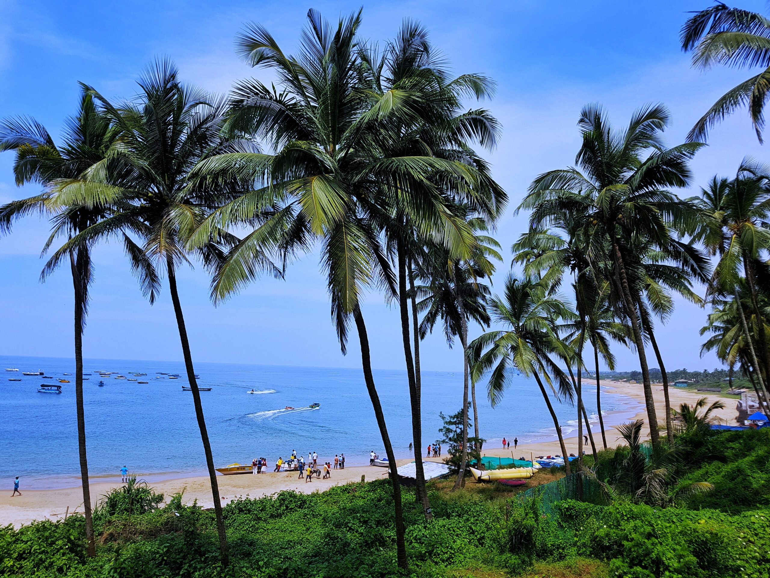 green palm trees on beach during daytime