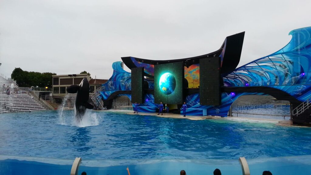 Sea World: one of the best places to visit in California in June