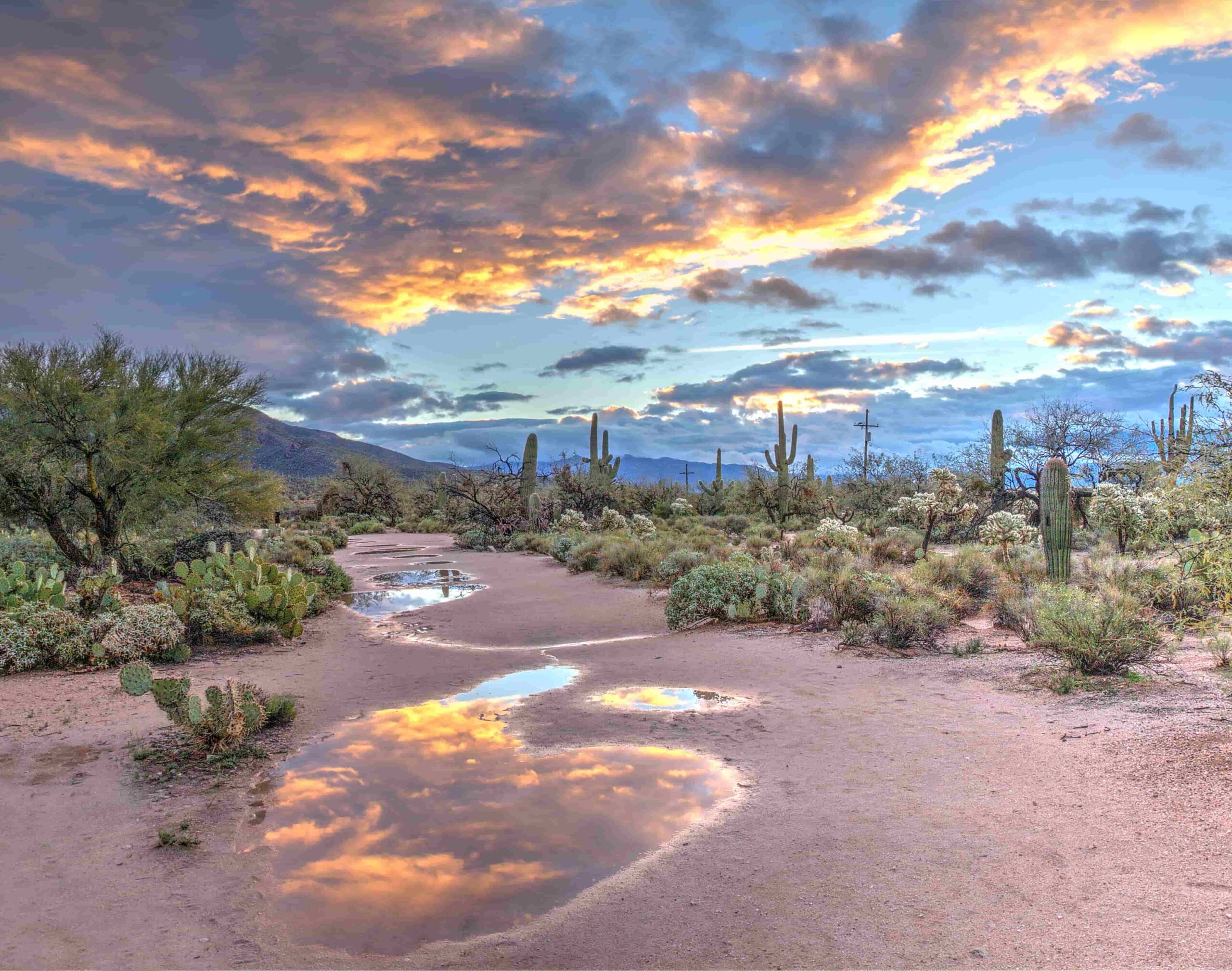 The Top Places To See In AZ, Arizona