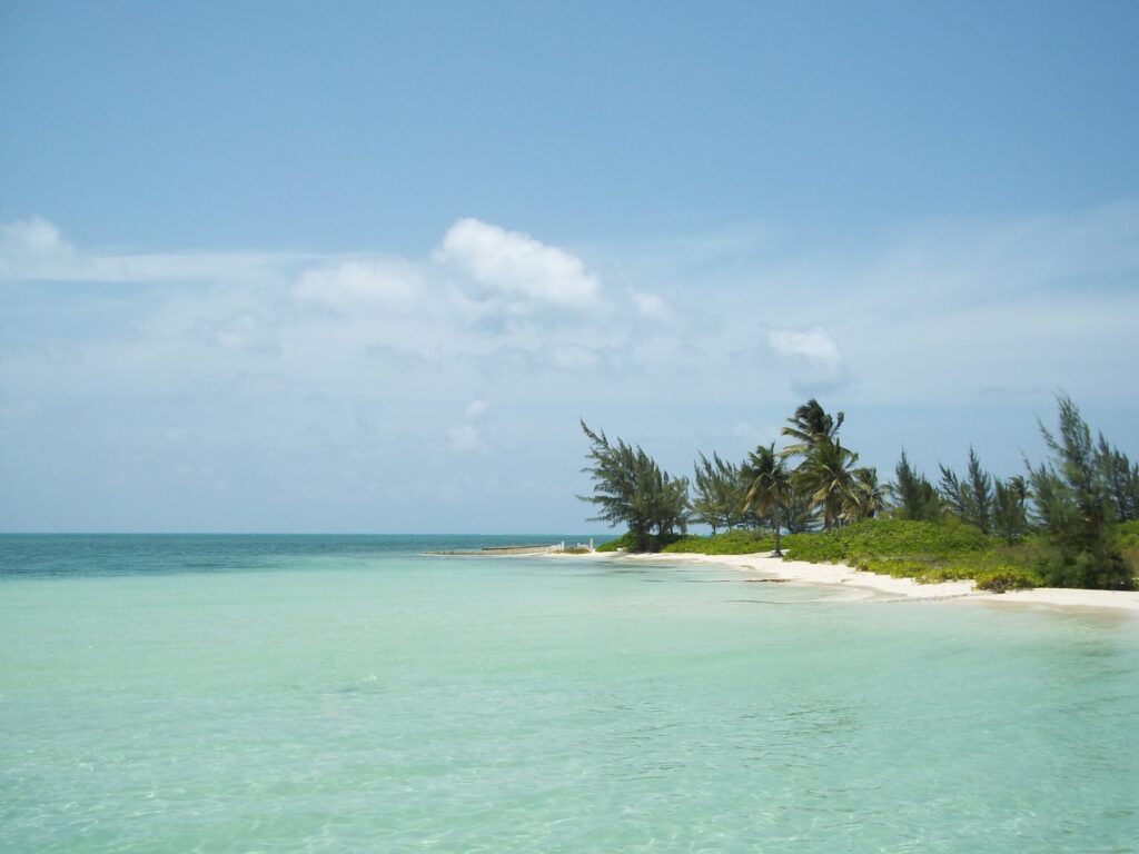 green palm tree on white sand beach during daytime. Among the fun things to do in Grand Cayman Islands