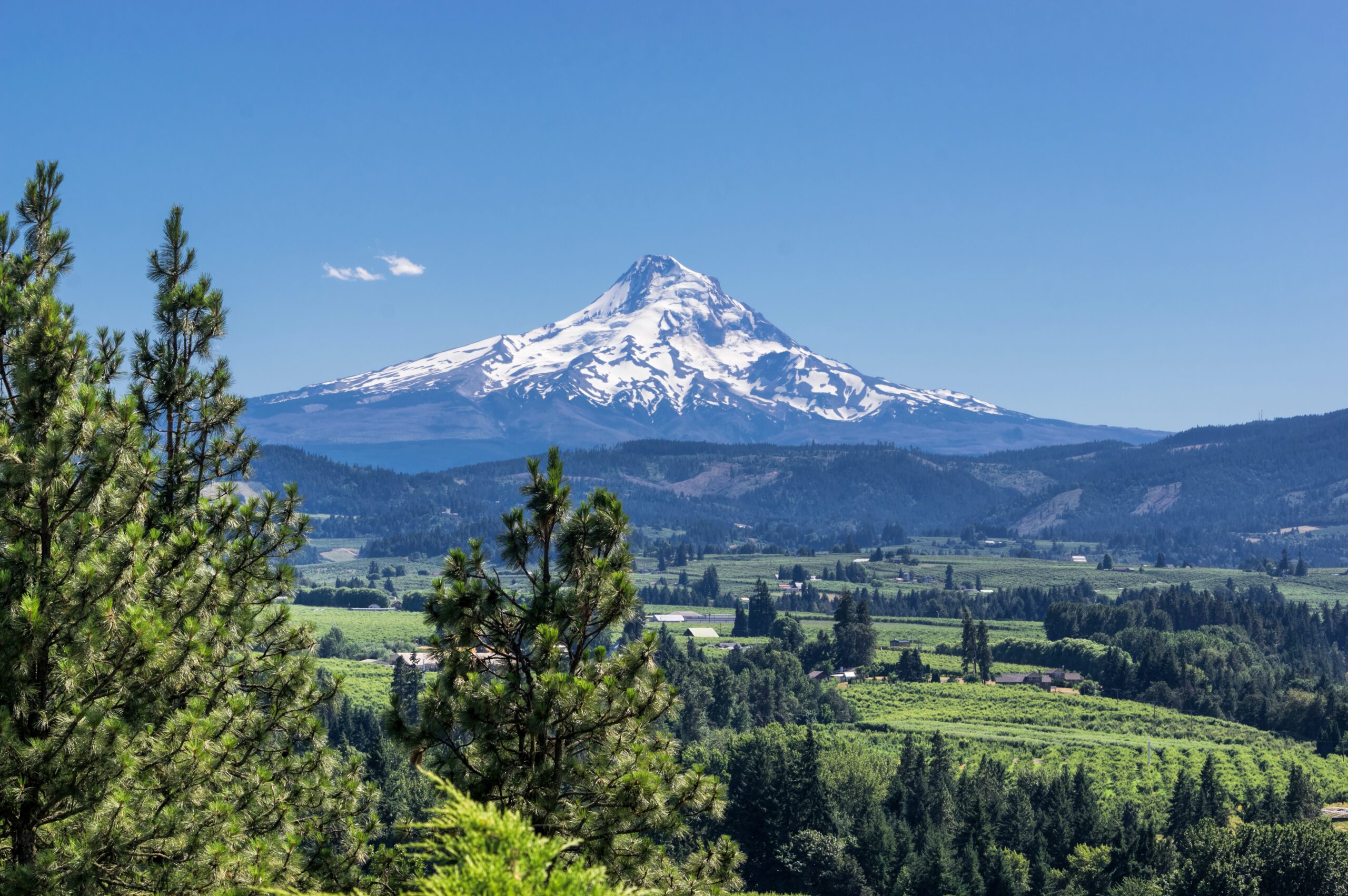 green trees near white and brown mountain under blue sky during daytime