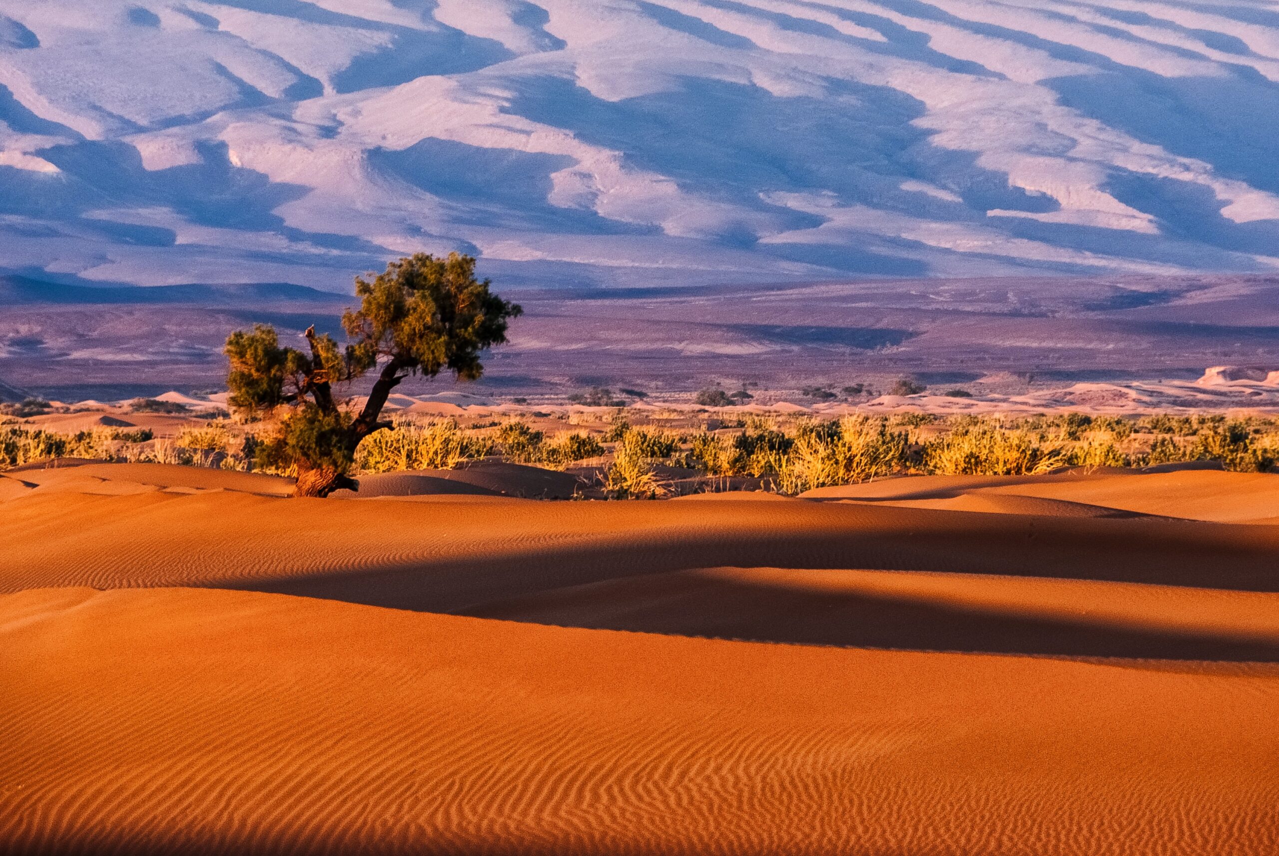 Where The Sahara Desert Is Located? Worlds Largest Desert