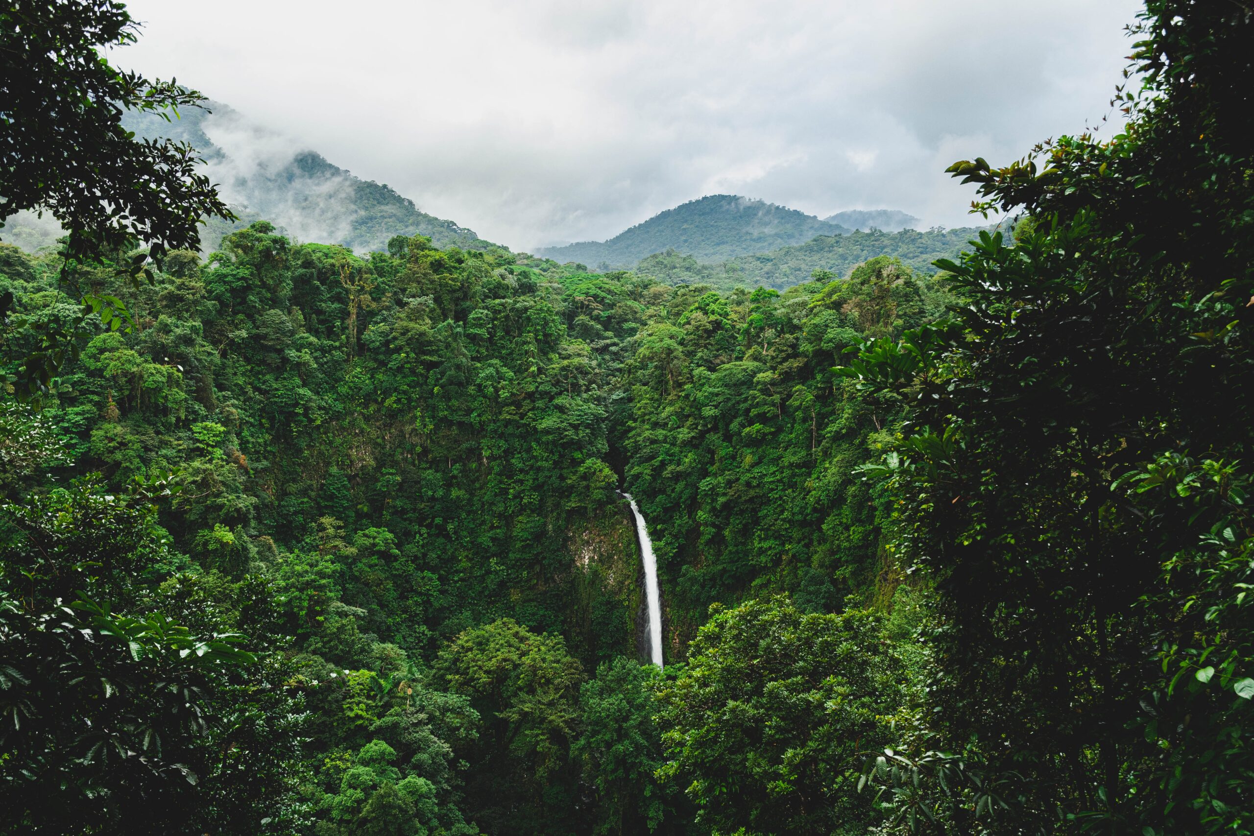 A Tropical Paradise Unveiled: My Unforgettable Trip To Costa Rica