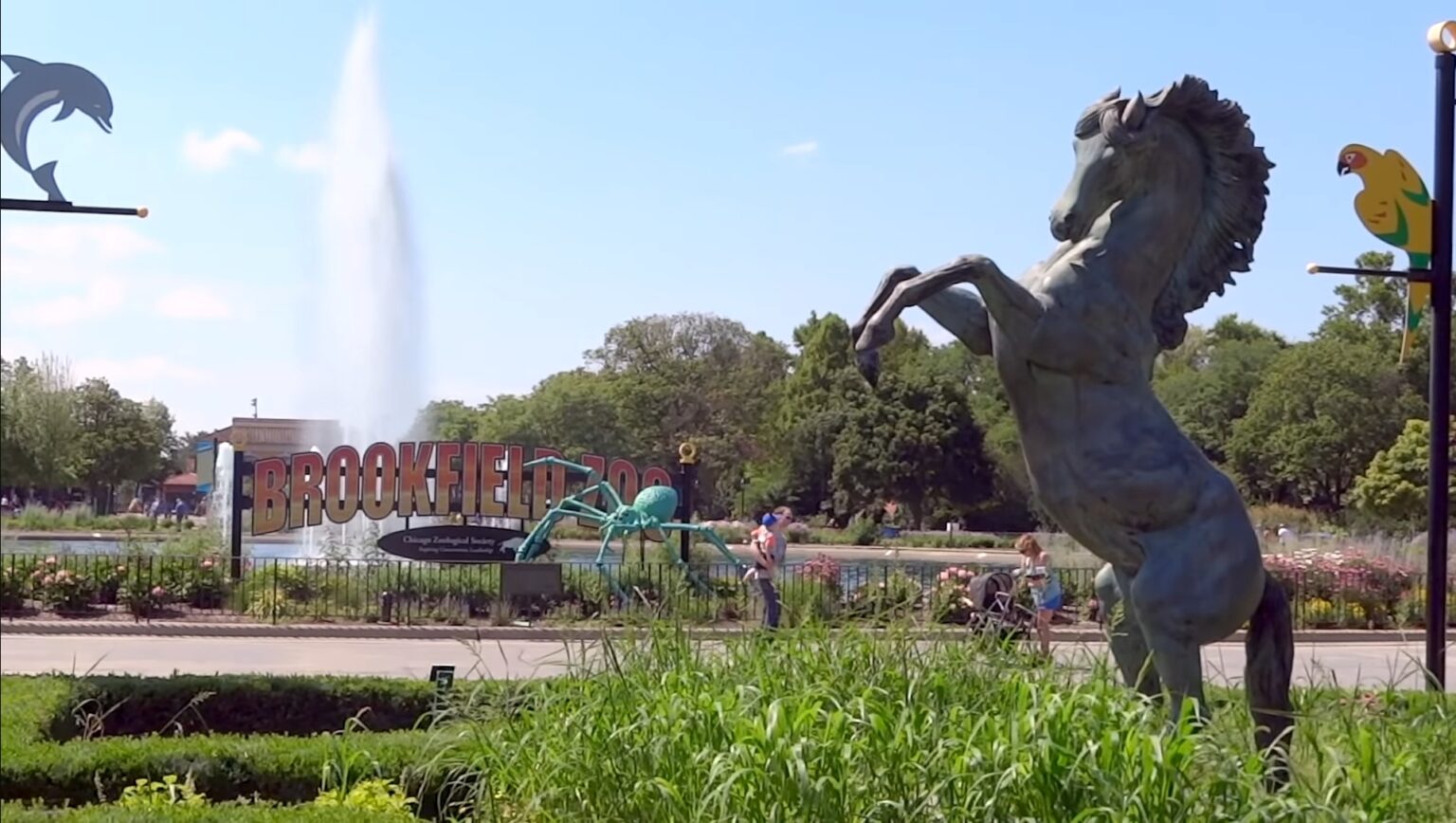 Brookfield Zoo Aquarium Archives - Awesome Traveler