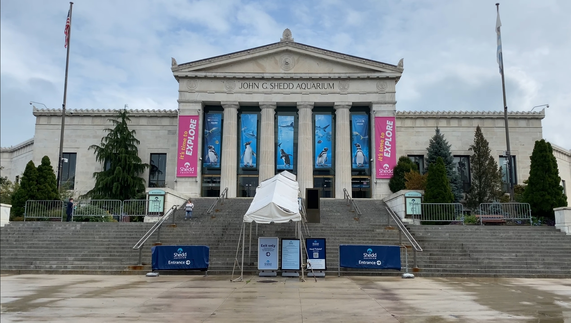 Comprehensive Guide to Shedd Aquarium