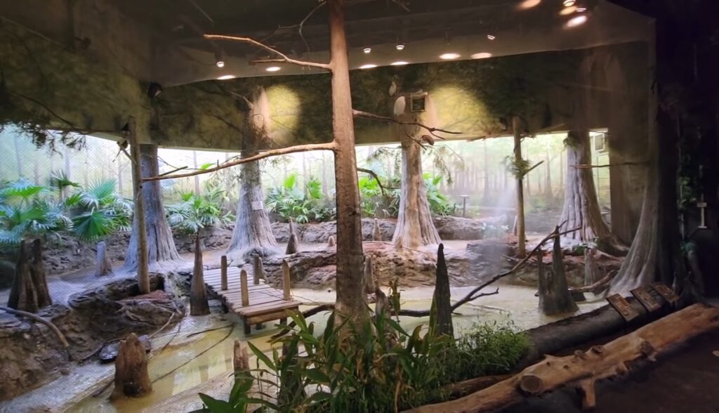 The Swamp Exhibit In Brookfield Zoo Aquarium