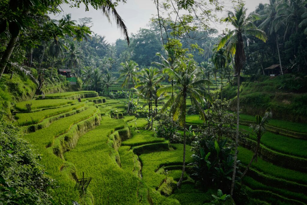 The Climate Of Bali During The Dry Season Is Pleasant And Sunny