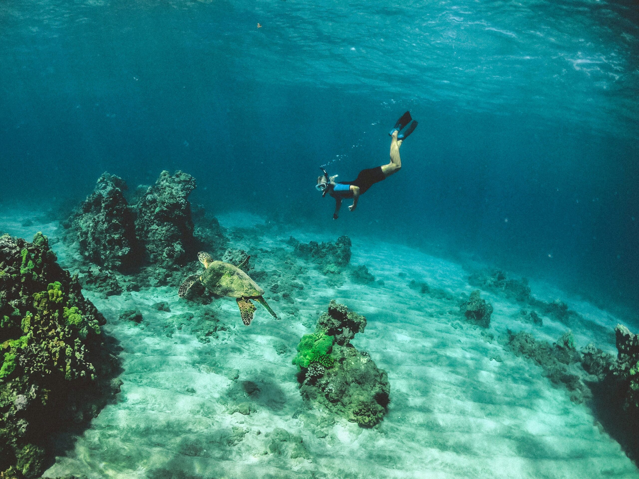 The best snorkeling spots in Bali